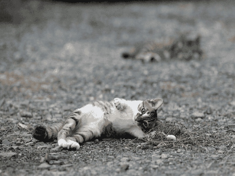 试管成功几率多大深圳试管医院预约试管婴儿编剧